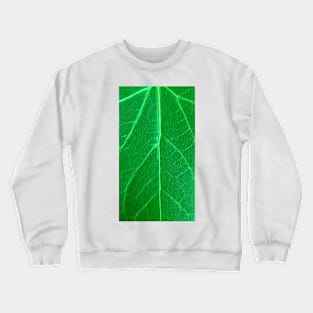 Green Leaf Crewneck Sweatshirt